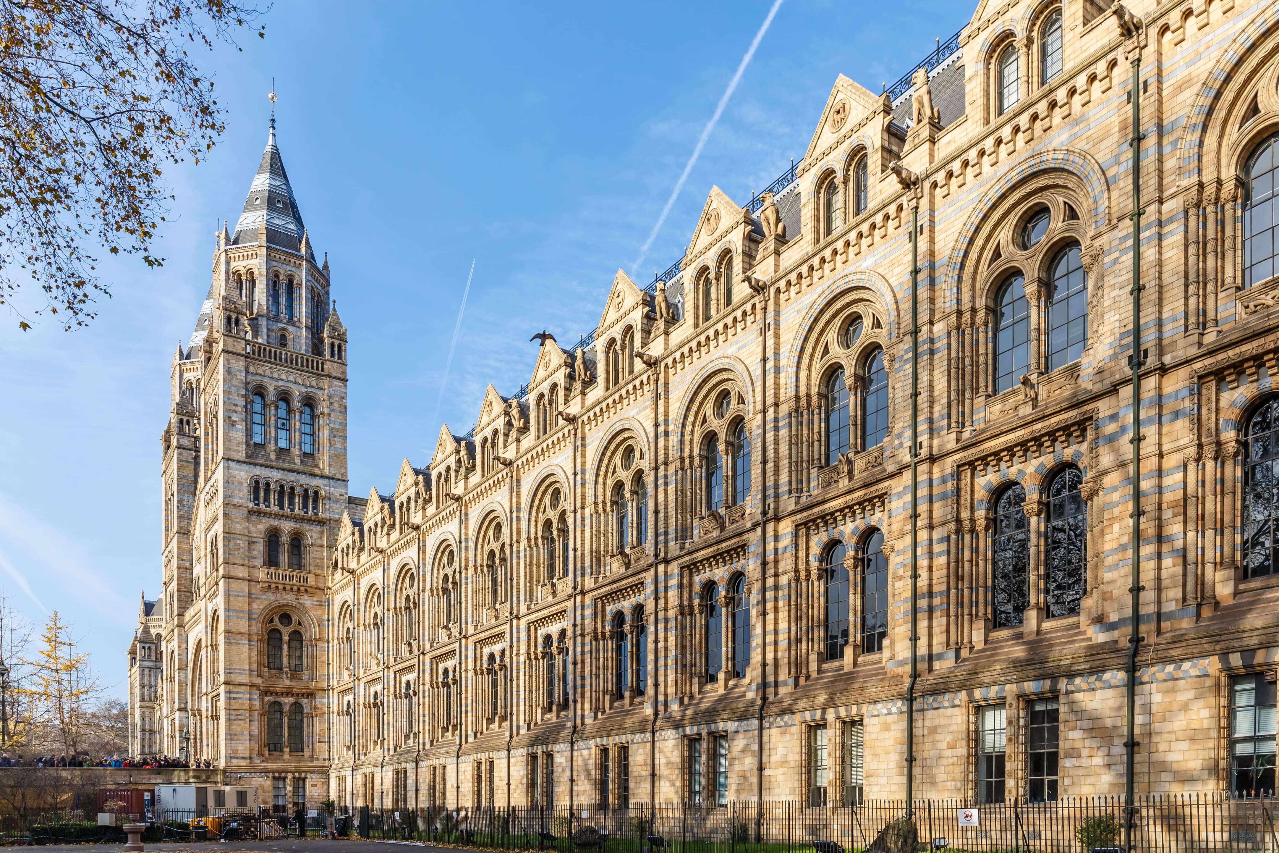 Natural History museum in winter, London, England.